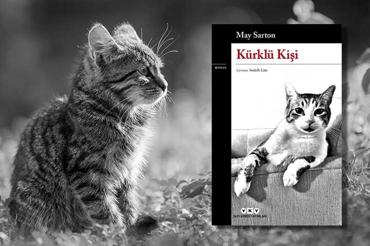 Kürklü kişi kitabı, Mustafa Çetin, Kürklü Kişi kitap incelemesi, kitap incelemesi, May Sarton, kitap yorumu, kitap tavsiyasi, tom jones